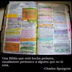 Biblia-o-celular