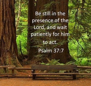 Be still in the presence of the Lord